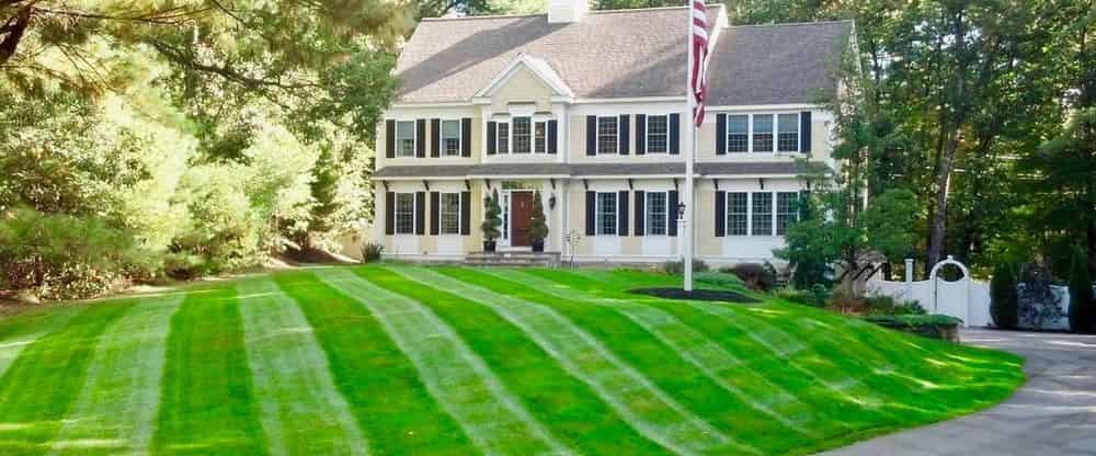 Commercial Landscaping & Hardscaping image