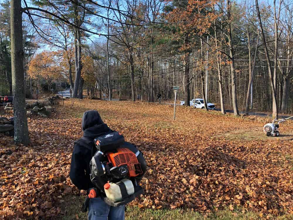 Yard Clean Up Services image