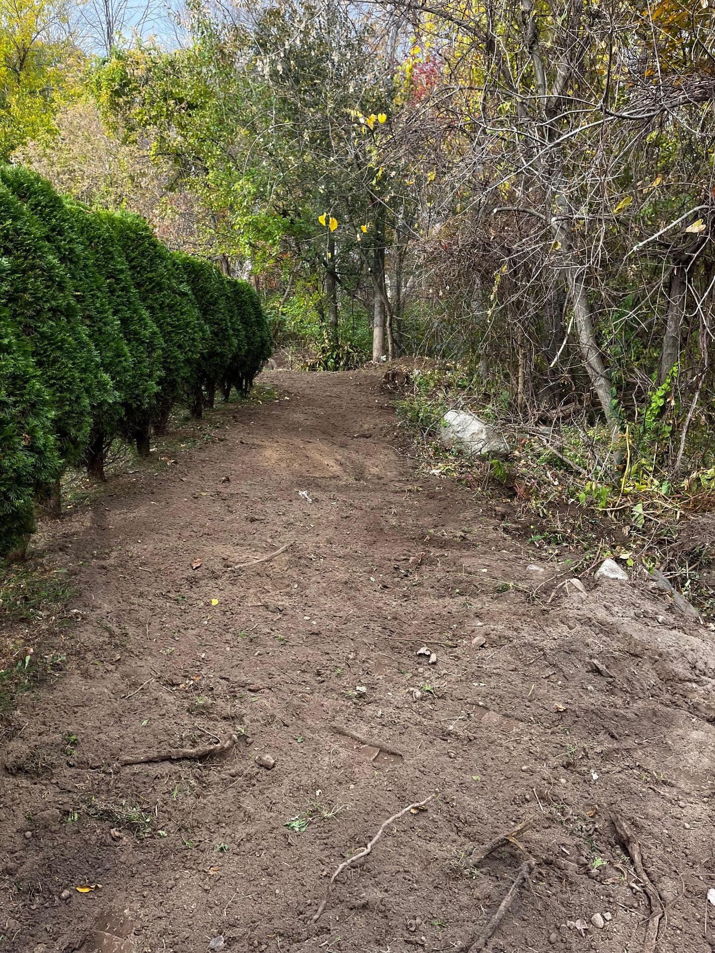 Project Clearing and Revitalizing Overgrown Spaces in Methuen MA image
