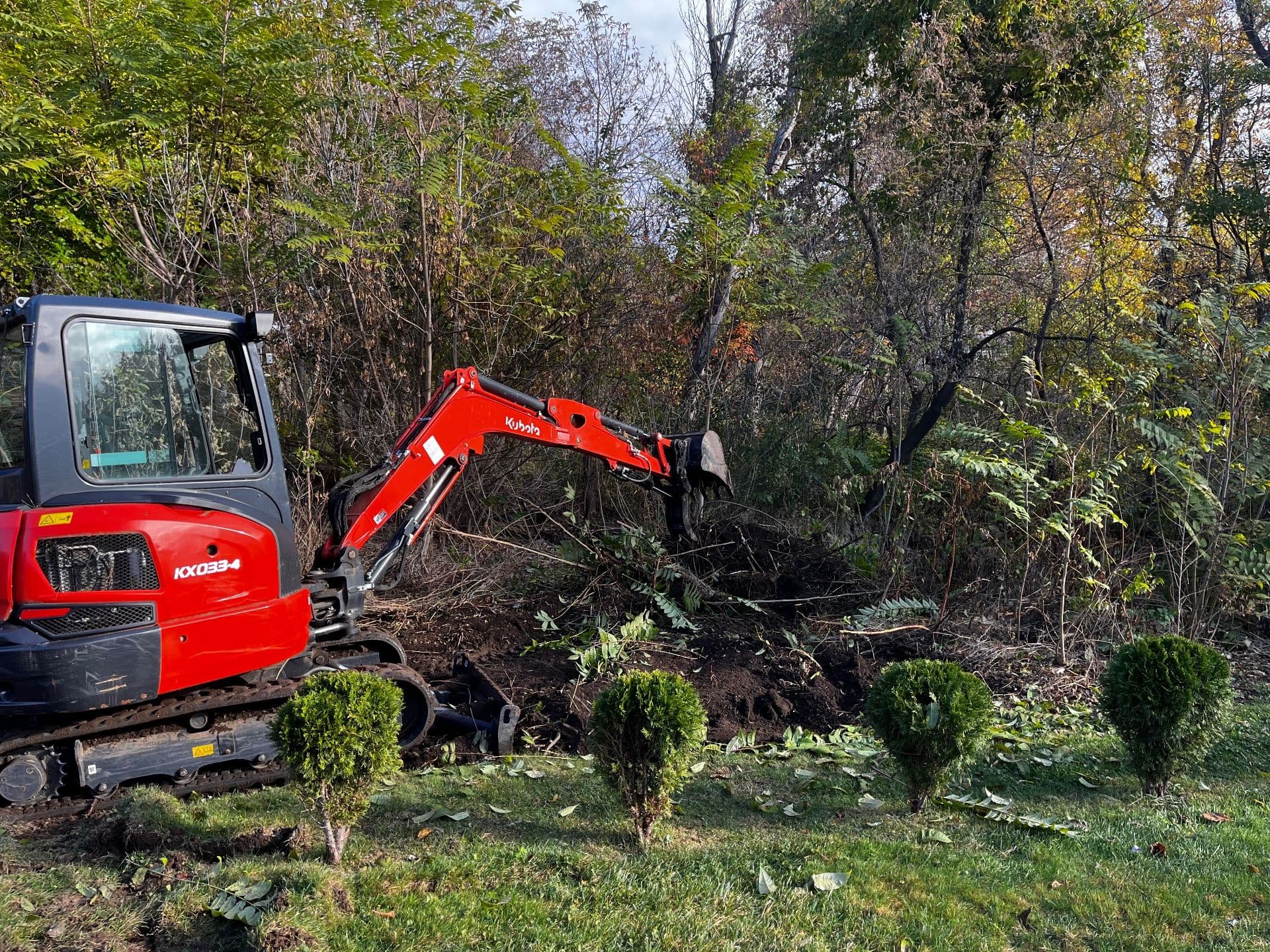 Gallery photos for Clearing and Revitalizing Overgrown Spaces in Methuen MA: Image #5