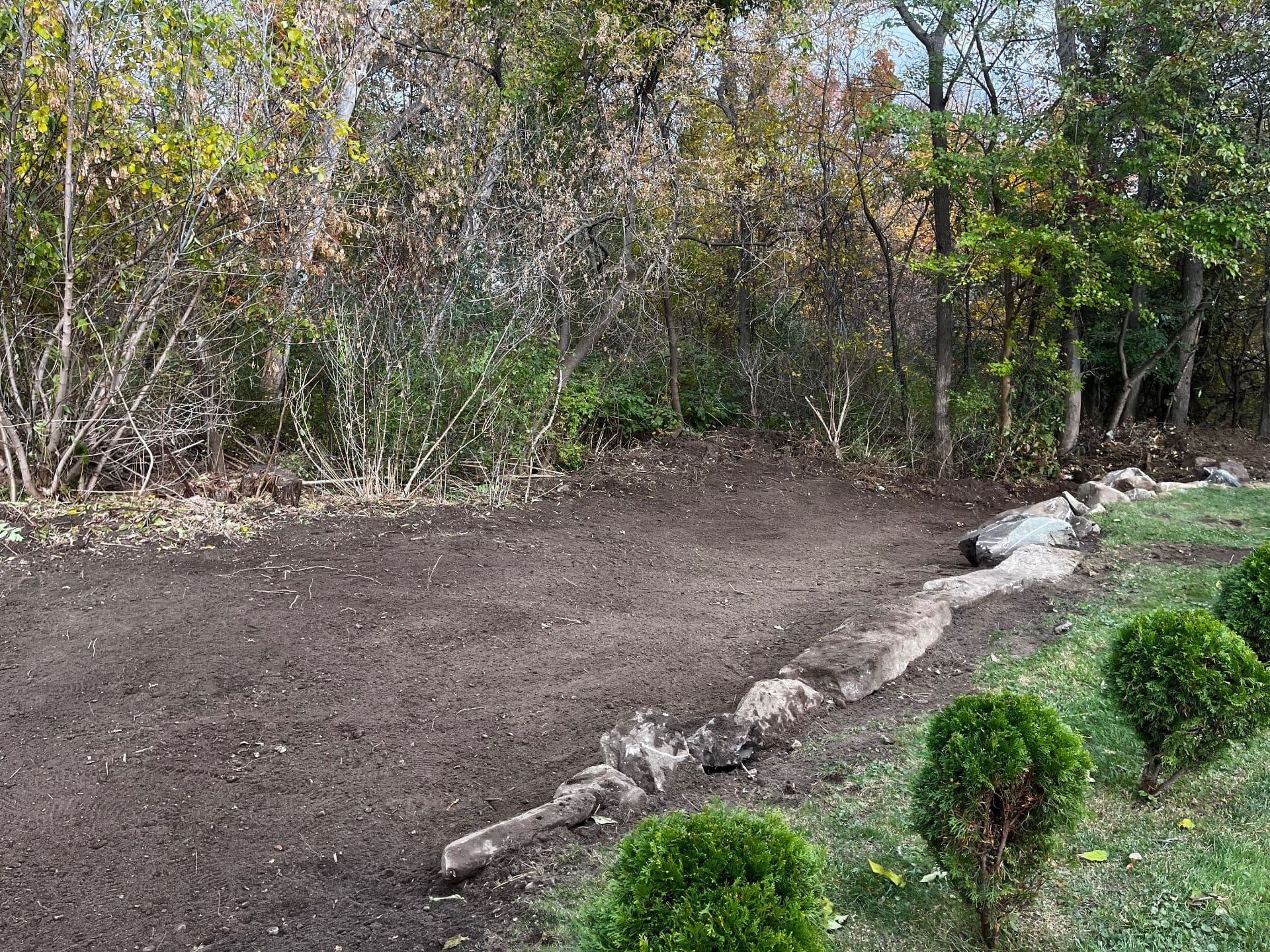 Gallery photos for Clearing and Revitalizing Overgrown Spaces in Methuen MA: Image #3