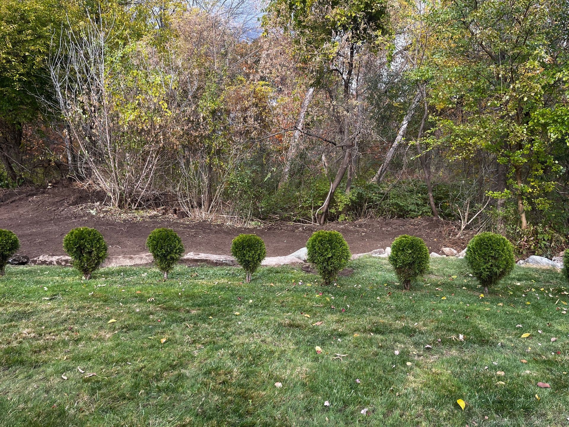 Gallery photos for Clearing and Revitalizing Overgrown Spaces in Methuen MA: Image #6