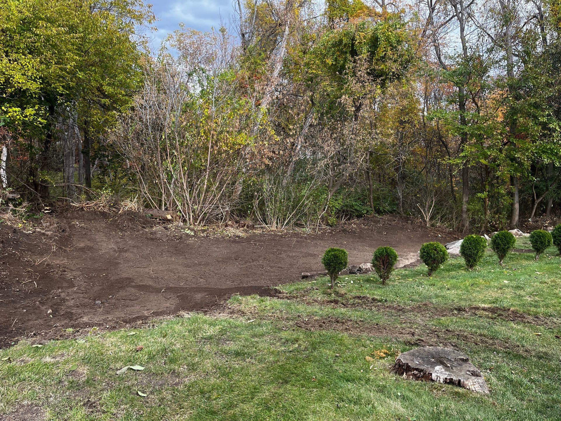 Gallery photos for Clearing and Revitalizing Overgrown Spaces in Methuen MA: Image #4