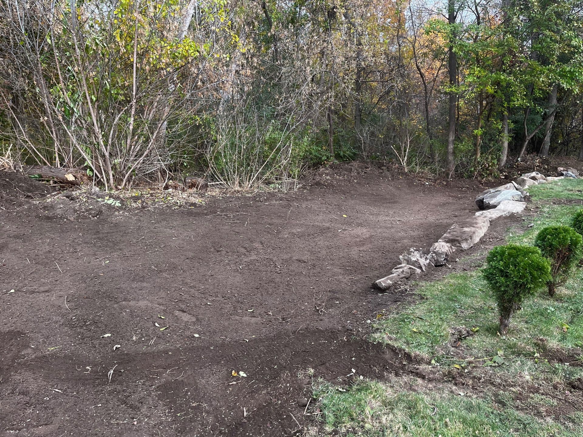 Gallery photos for Clearing and Revitalizing Overgrown Spaces in Methuen MA: Image #9