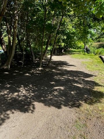 Gallery photos for Transforming Overgrown Land into Lush Lawn in Andover: Image #2