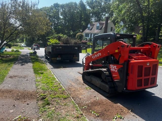 Landscaping Transformation Boosts Curb Appeal image