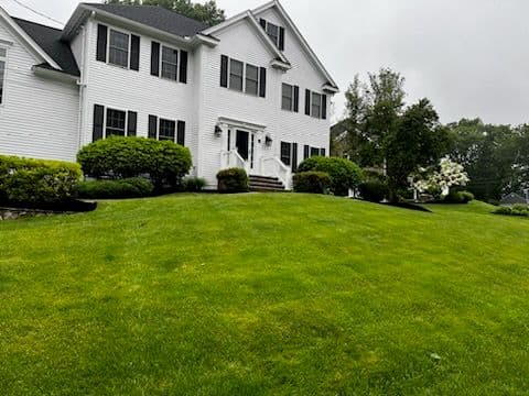 Gallery photos for Transform Your Outdoors With Vibrant Landscaping: Image #3