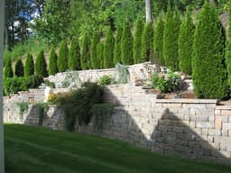 Certified Arborist Team's image