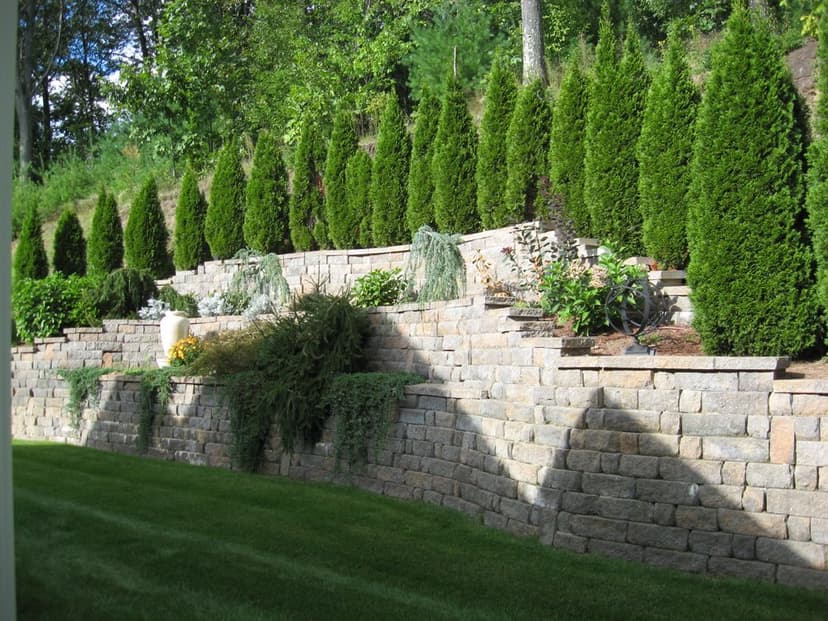 Certified Arborist Team's image