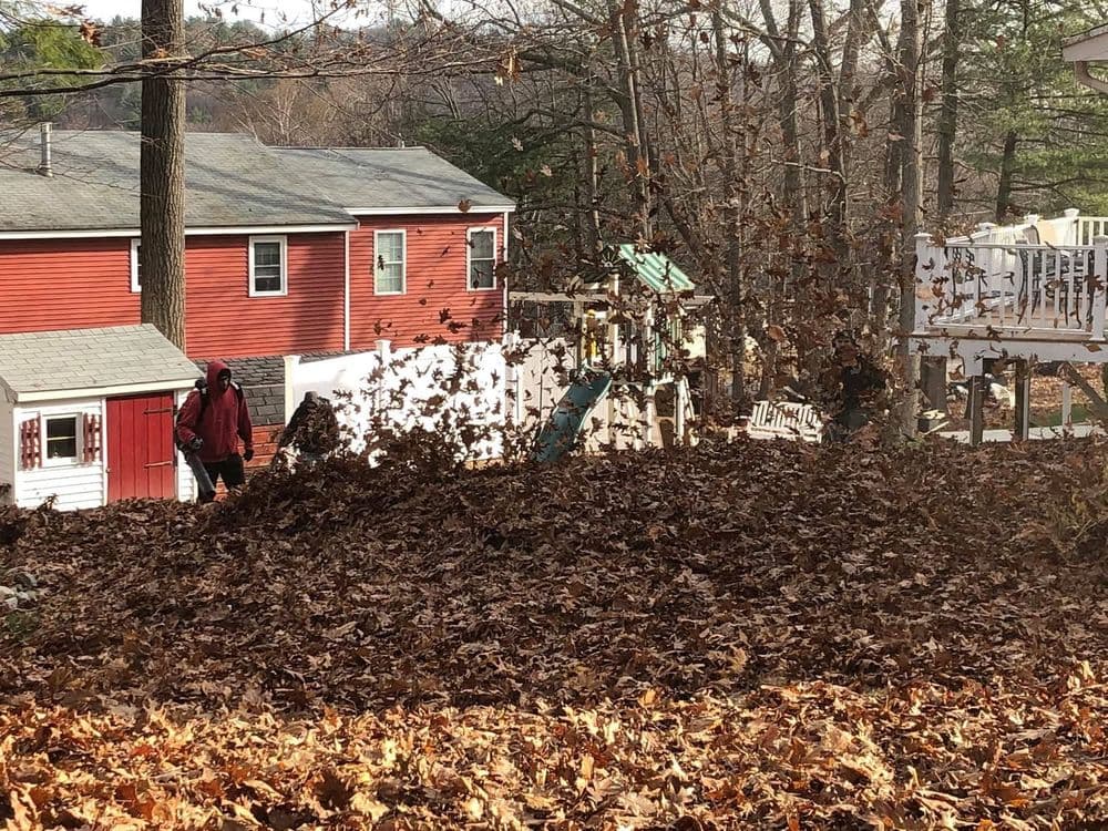 Gallery photos for Fall Clean up : Image #3